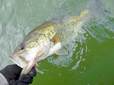 truth news ブログ写真 2013/04/11