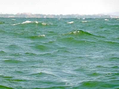 truth news ブログ写真 2013/04/11