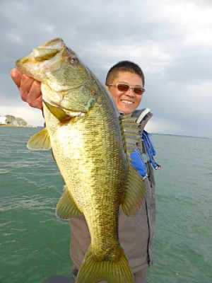 truth news ブログ写真 2013/04/12