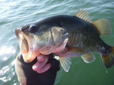 truth news ブログ写真 2013/04/13