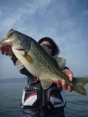 truth news ブログ写真 2013/04/14