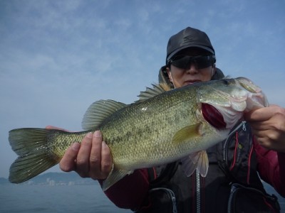 truth news ブログ写真 2013/04/14