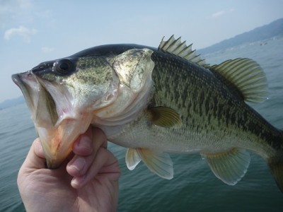 truth news ブログ写真 2013/04/14