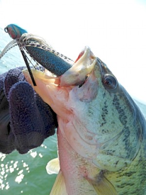 truth news ブログ写真 2013/04/14