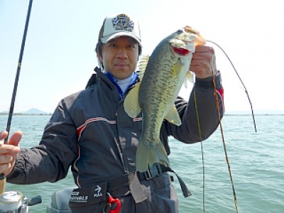 truth news ブログ写真 2013/04/14