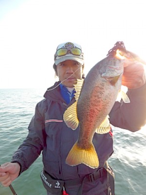 truth news ブログ写真 2013/04/14