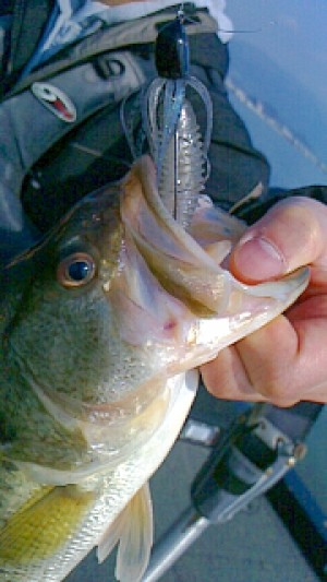 truth news ブログ写真 2013/04/15