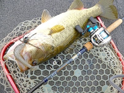 truth news ブログ写真 2013/04/18