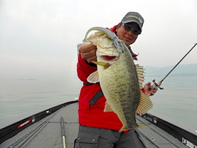 truth news ブログ写真 2013/04/18