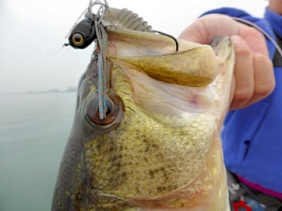 truth news ブログ写真 2013/04/18