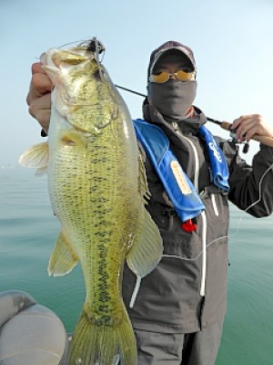 truth news ブログ写真 2013/04/19