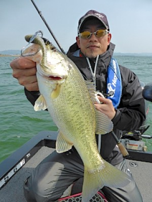 truth news ブログ写真 2013/04/19