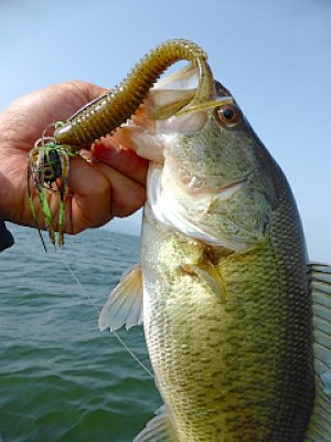 truth news ブログ写真 2013/04/19