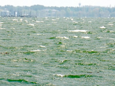 truth news ブログ写真 2013/04/19