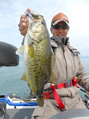 truth news ブログ写真 2013/04/21