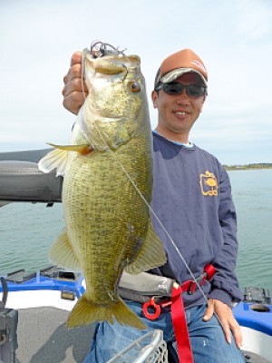 truth news ブログ写真 2013/04/21