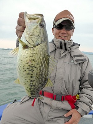 truth news ブログ写真 2013/04/21