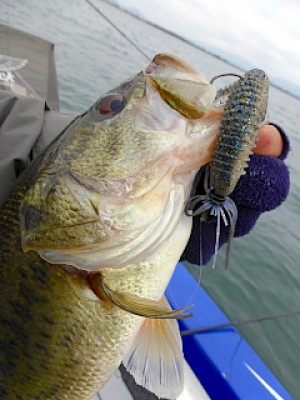 truth news ブログ写真 2013/04/21