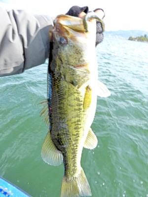 truth news ブログ写真 2013/04/22