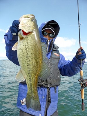 truth news ブログ写真 2013/04/22