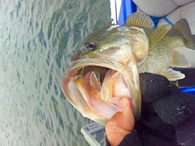 truth news ブログ写真 2013/04/22