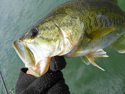 truth news ブログ写真 2013/04/22