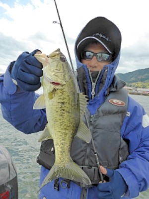 truth news ブログ写真 2013/04/22