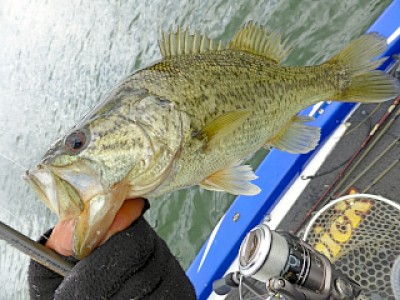 truth news ブログ写真 2013/04/22