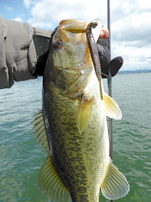 truth news ブログ写真 2013/04/22