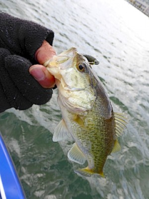 truth news ブログ写真 2013/04/22