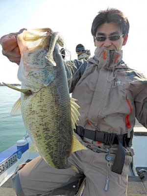 truth news ブログ写真 2013/04/23