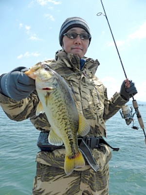 truth news ブログ写真 2013/04/23