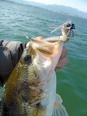 truth news ブログ写真 2013/04/23