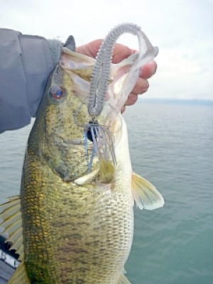 truth news ブログ写真 2013/04/25