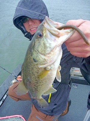 truth news ブログ写真 2013/04/25