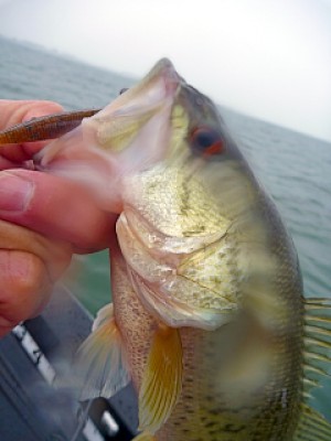 truth news ブログ写真 2013/04/25