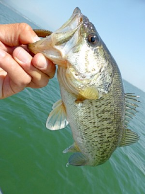 truth news ブログ写真 2013/04/25