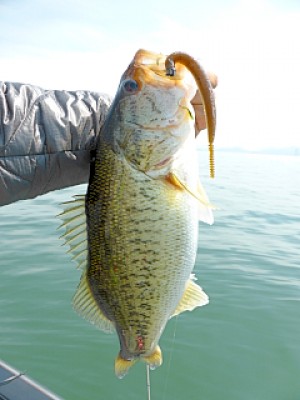 truth news ブログ写真 2013/04/25