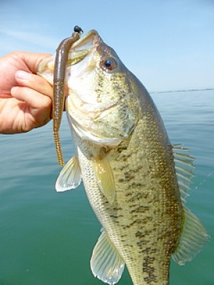 truth news ブログ写真 2013/04/25