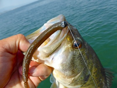 truth news ブログ写真 2013/04/25