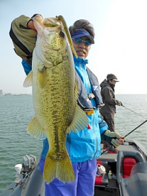 truth news ブログ写真 2013/04/26