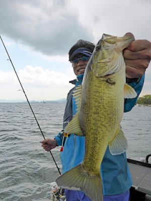 truth news ブログ写真 2013/04/26