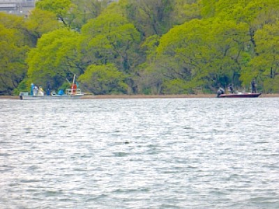 truth news ブログ写真 2013/04/26