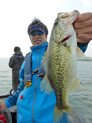 truth news ブログ写真 2013/04/26