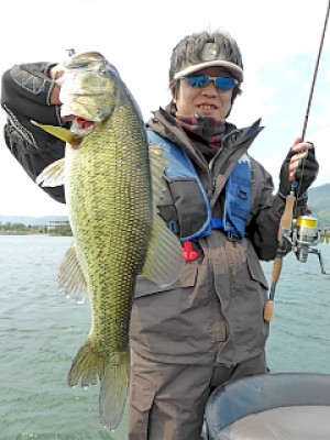 truth news ブログ写真 2013/04/26