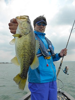 truth news ブログ写真 2013/04/26