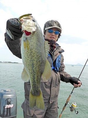 truth news ブログ写真 2013/04/26