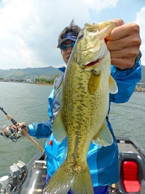 truth news ブログ写真 2013/04/26