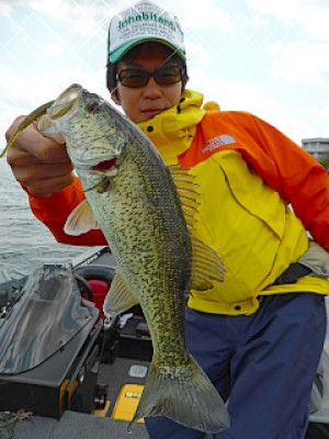 truth news ブログ写真 2013/04/27