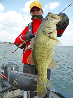 truth news ブログ写真 2013/04/27